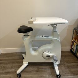 Flexispot Bicycle Desk -Used - OBO