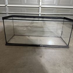 Zoo Med 20 Gallon Tank