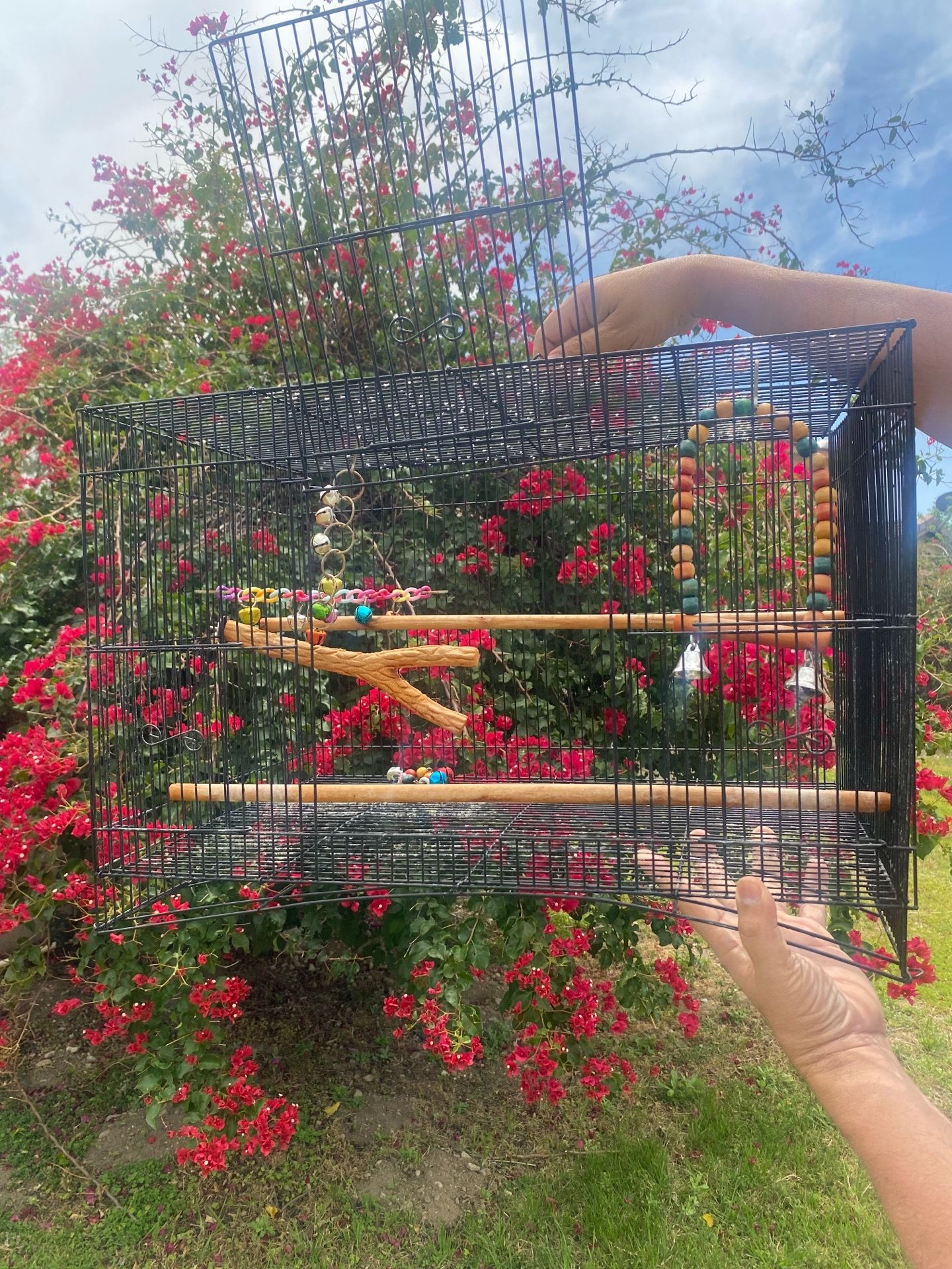 Bird cage