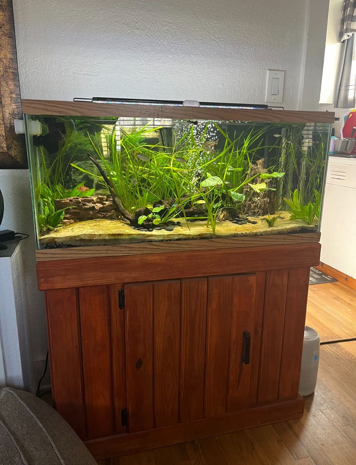 30 Gal Aquarium 