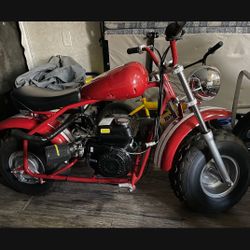 Coleman Trail Mini Bike