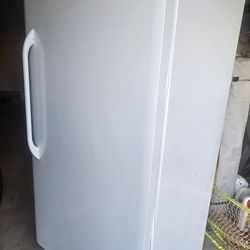 Standing Freezer