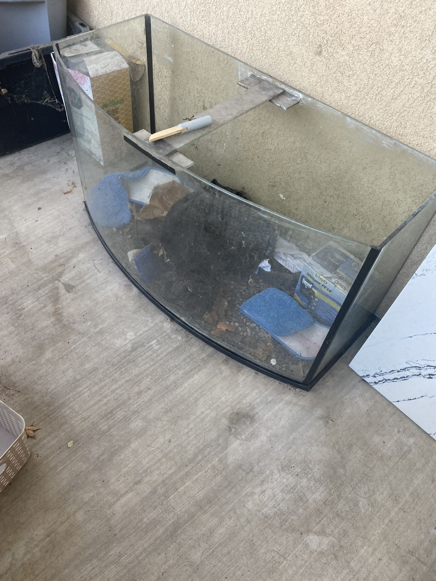 50 Gallon Fish Tank