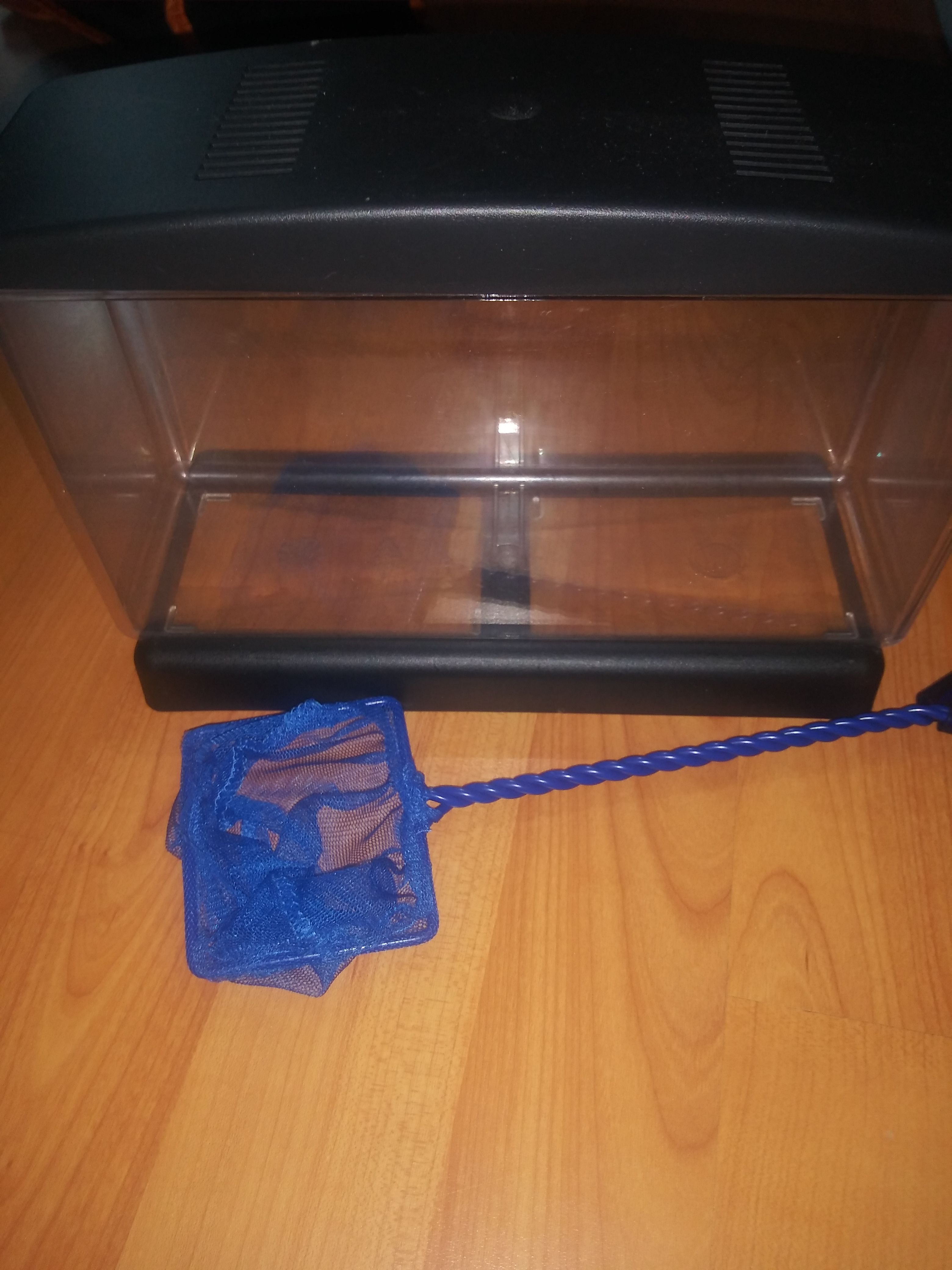 Small fish tank and net