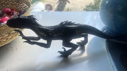 Indo raptor