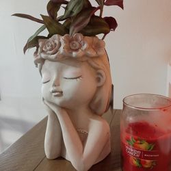 Real Plant With Ceramic Pot $20