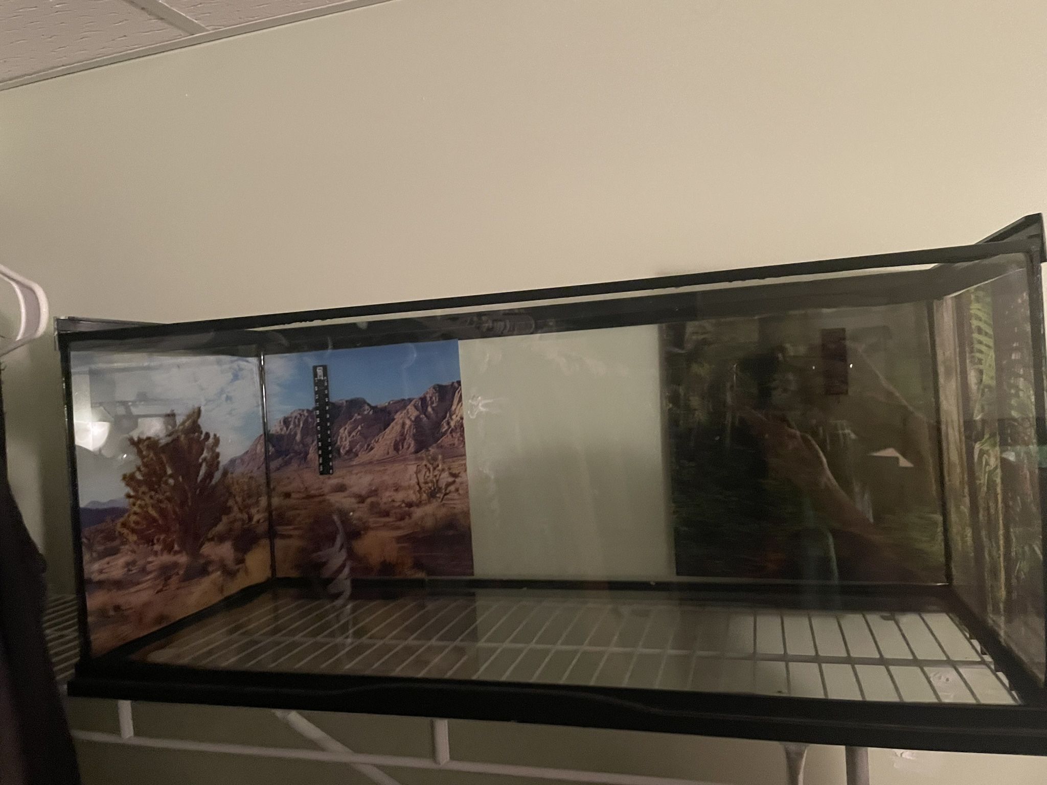 Reptile Tank