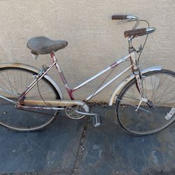 Hiawatha Bike: Needs a hero! 