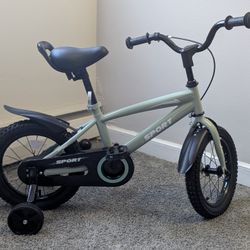 Naipo 12 inch cycle with training wheels