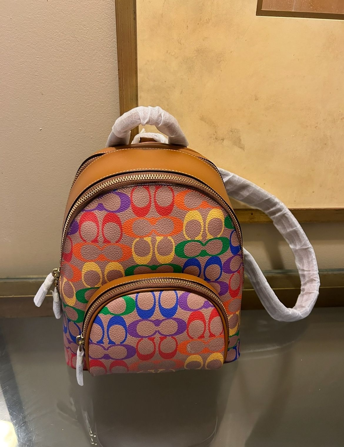 Rainbow Coach Backpack