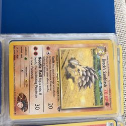 Brock’s Sandslash Pokemon