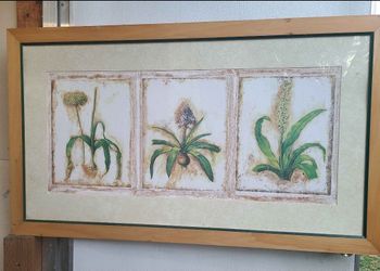 Framed Botanical Triptych Wall Art Print