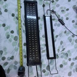 Aquarium Lights