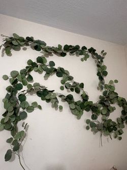 Green Decorative Leaves