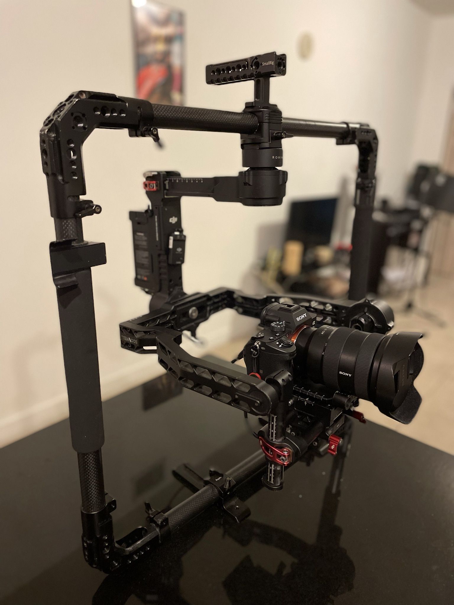 Sony A7iii W/16 35mm f/2.8 GM Lens/DJI Steady Cam