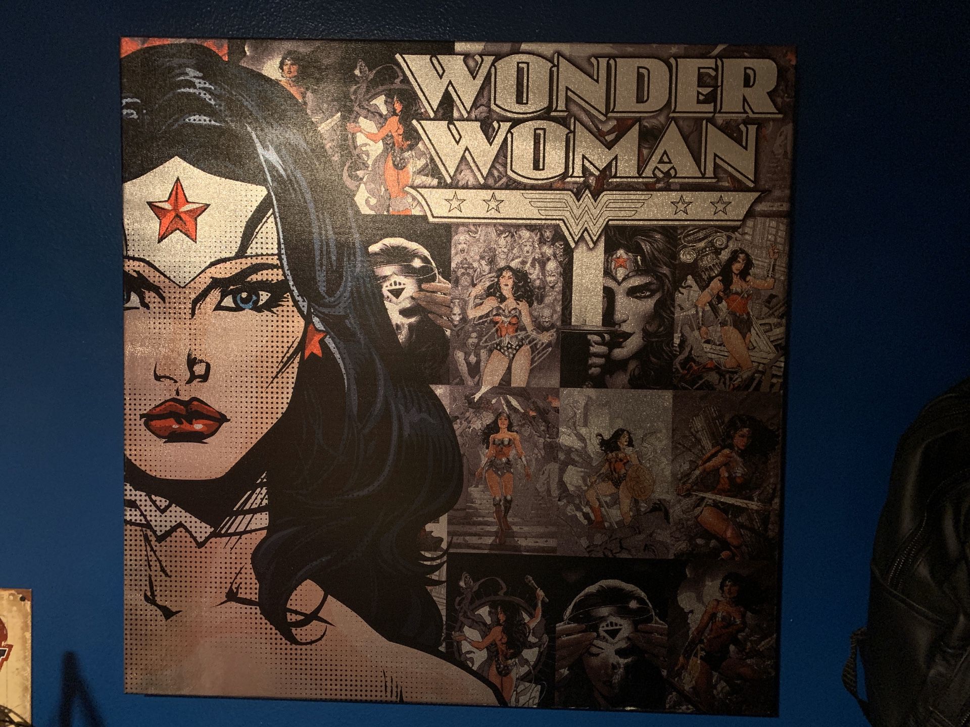 Wonder Woman canvas
