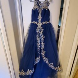 Navy Blue/Gold Dress