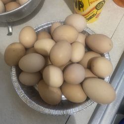 Fresh Eggs 