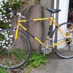 Centurion Le Mans Japanese Vinage Road Bike