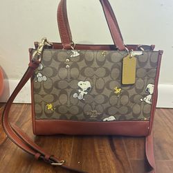coach x peanuts bag