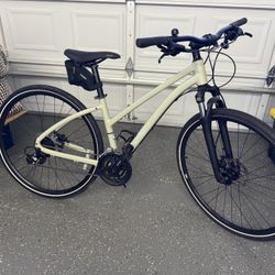 REI City 2.1 Step Through Bike