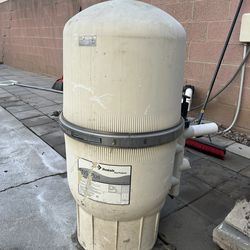 Pentair FNS Plus 48 Damascus Earth Filter