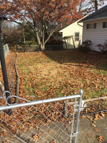 Anyone in need of fall yard work