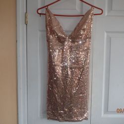 Rose Gold Sequin Dress