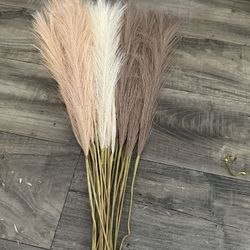 Pampas Grass