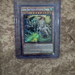 Bursting Protocol Shina