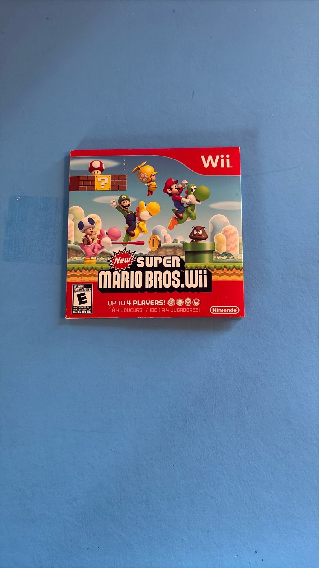 Super Mario Bros Wii