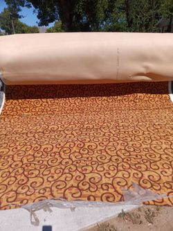 Carpet need it gone