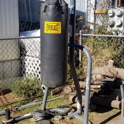 Everlast Punching Back With Stand