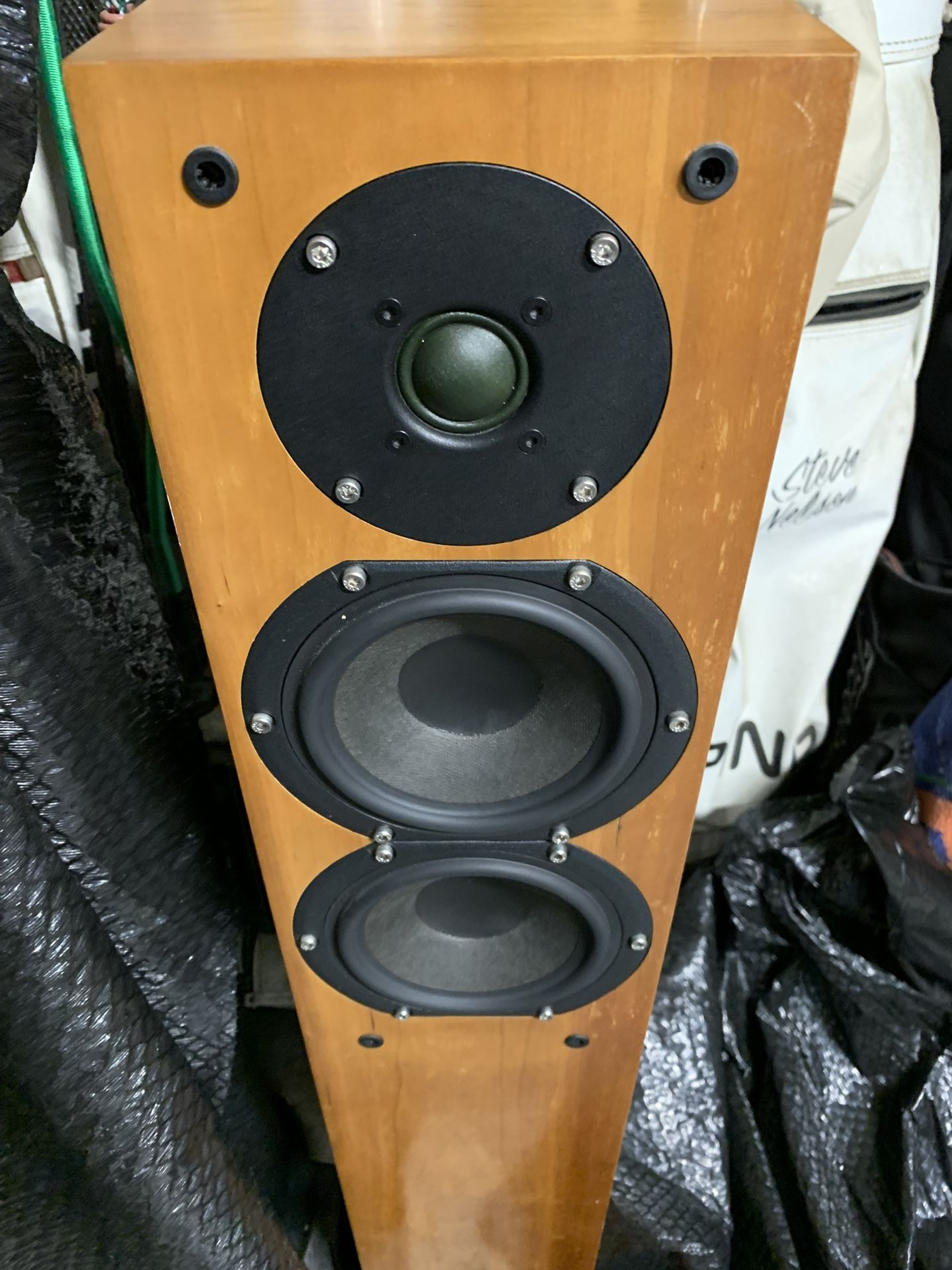 German Made Sonics Oumnia Floor Speakers