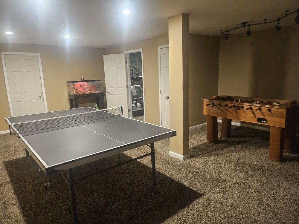 Ping Pong Table
