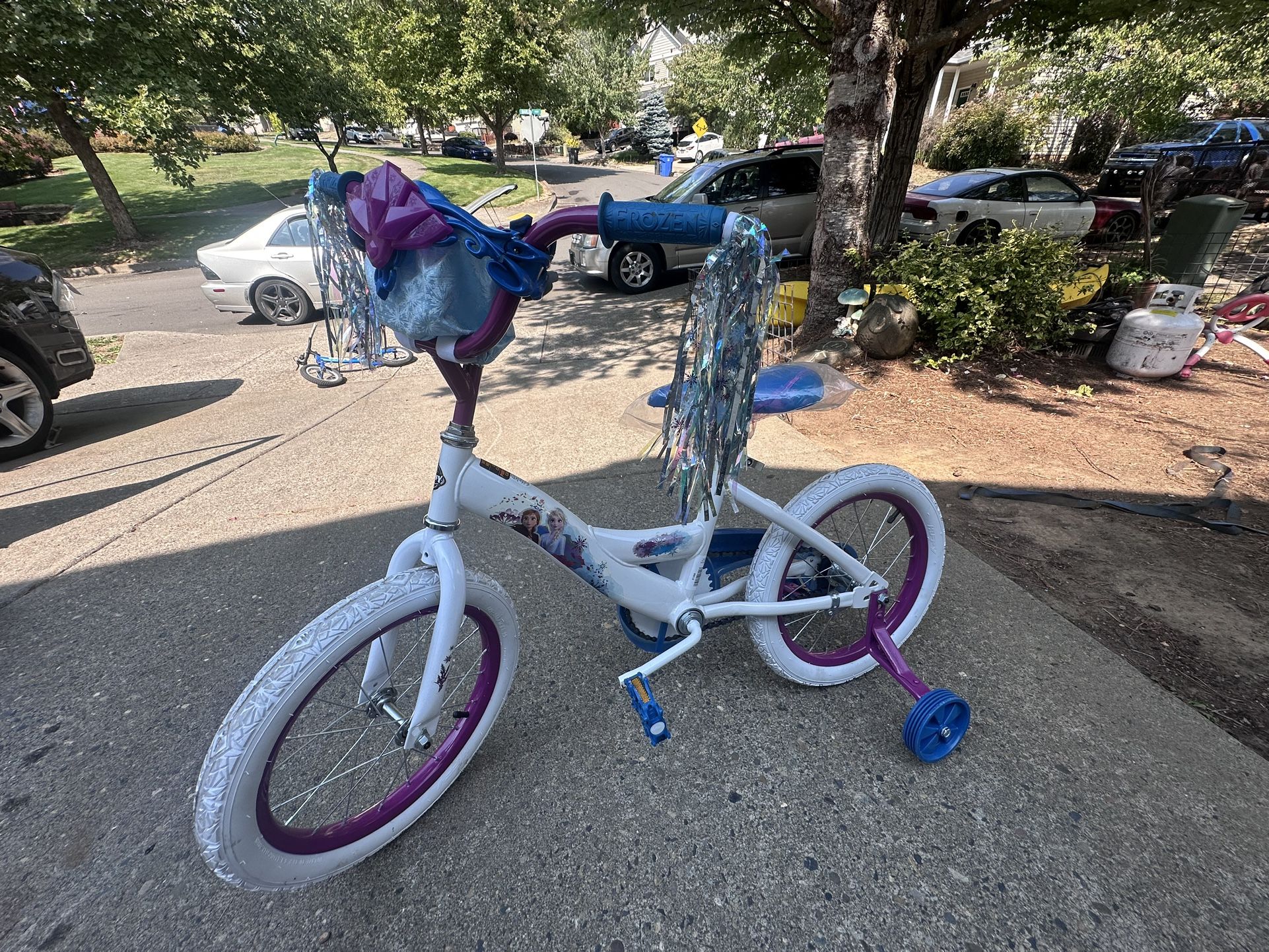 Frozen 16” Girls Bike New