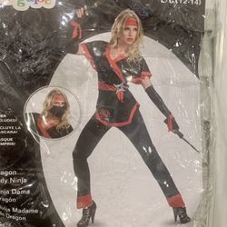 Ninja Women’s Costume