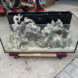 55g All In One Aquarium Fish Tank W/ Extras