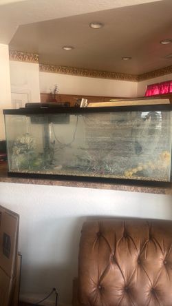 Fish tank