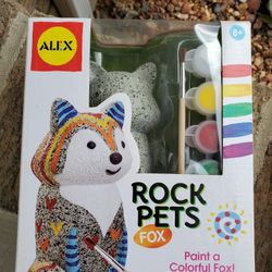 Rock Pet Craft Kit, New