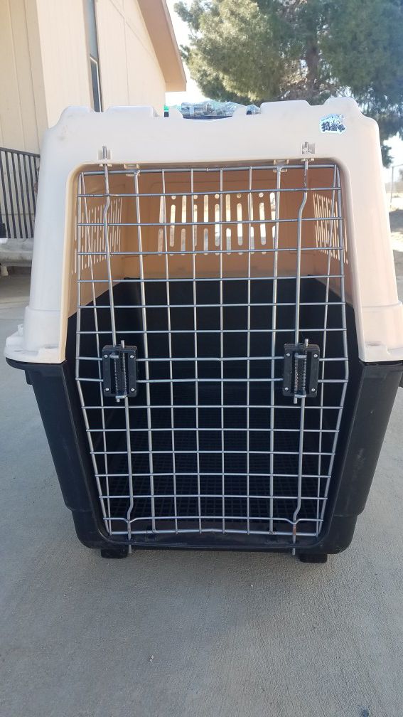 Clean Dog Kennel, Crate, Cage #6-#10