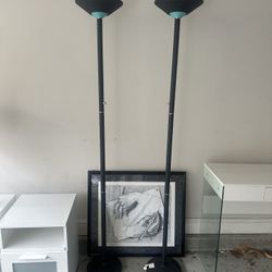 2 Tall Lamps 