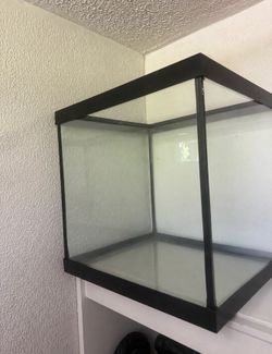 Fish Tank