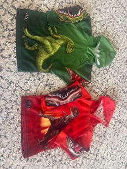 Set of 2 dinosaur hoodies