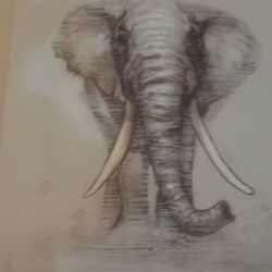 Oil Painting  Of An Elephant, Signed By Artist