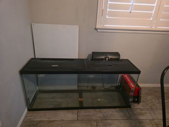 55 gallon fish tank