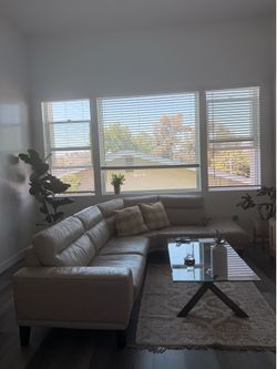Couch and coffee table