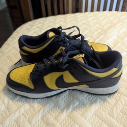 Nike Michigan dunks size 9