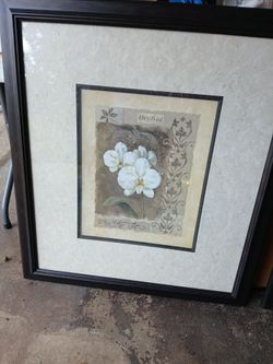 Whte  Rose print frames.