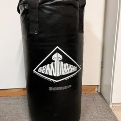 Century Punching/Kicking Bag w/bracket